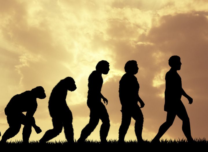 A group of silhouette figures, with a monkey on the left and a human on the right, with clouds and the sun visible in the background. Used to portray human evolution.