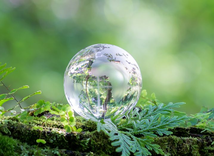 A glass sphere in the shape of planet Earth sits on a forest floor.