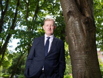 Cork tech firm Treemetrics launches real-time forest management platform