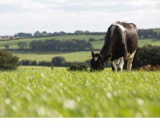 Tiny sensors created by Irish scientists could help farmers cut pollution