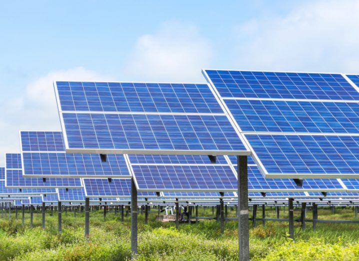 A solar farm with multiple solar panels lined together, with grass beneath them and a blue sky in the background.