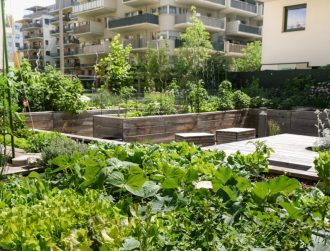 New project aims to grow edible green infrastructure in African cities
