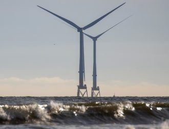 ‘Safe and sound’: Protecting marine life from noisy offshore windfarms