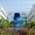 PayPal plans 2,000 global job cuts as concern for Irish staff mounts