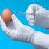 Irish biotech Ovagen raises €1.1m for germ-free egg production