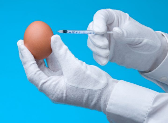 An egg being injected with a vaccine. Blue background.