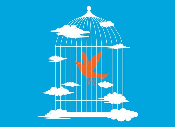 Flying orange bird in a white bird cage with a blue sky background