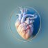 3D-printed hearts could herald new way to treat patients, say MIT engineers