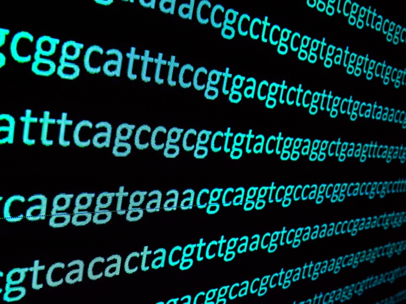 Laporan Irlandia menyerukan basis data genomik untuk meningkatkan layanan kesehatan