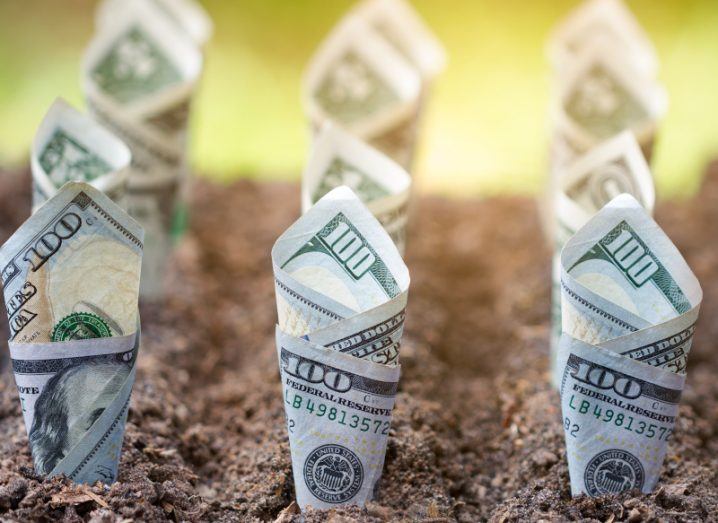Dollar bills in a row planted in the ground in a seed funding concept.