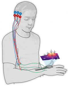 Diagram showing the neural networks of a man connected to the muscles in his arm and a machine that can track the networks.