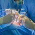 UCD researcher gets EU grant to study pig-to-human heart transplants