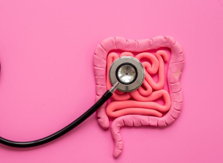 Intestines made from pink playdough with a stethoscope resting on them. Bright pink background.