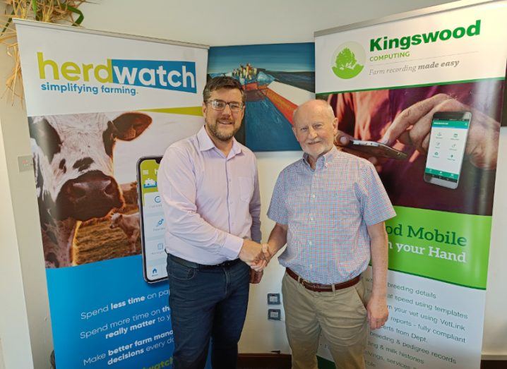Two men stand in a room full of posters representing Herdwatch and Kingswood.