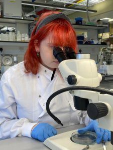 A young woman with red hair, a white lab coat and blue gloves looks into a large microscope.
