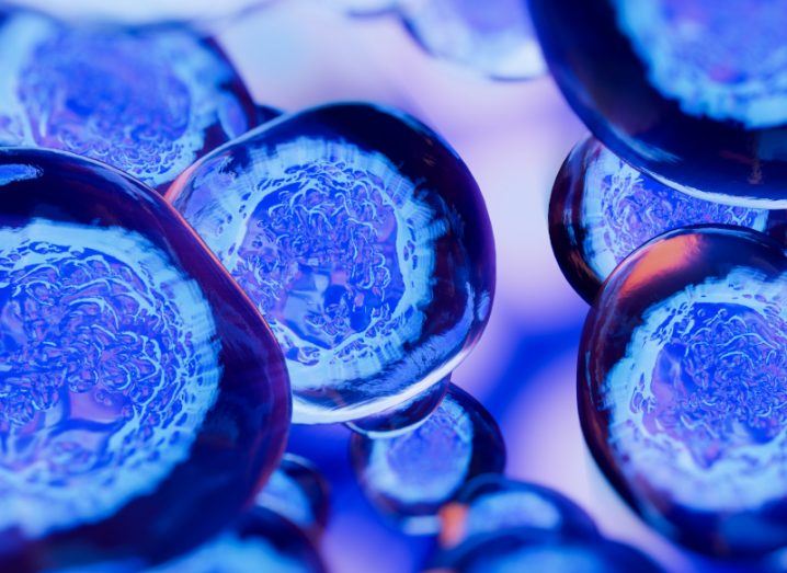 Creative impression of embryonic stem cells that are purple and blue.