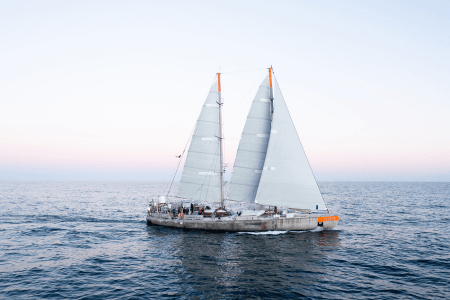 The Tara Schooner research vessel with wide open while sails in open water.