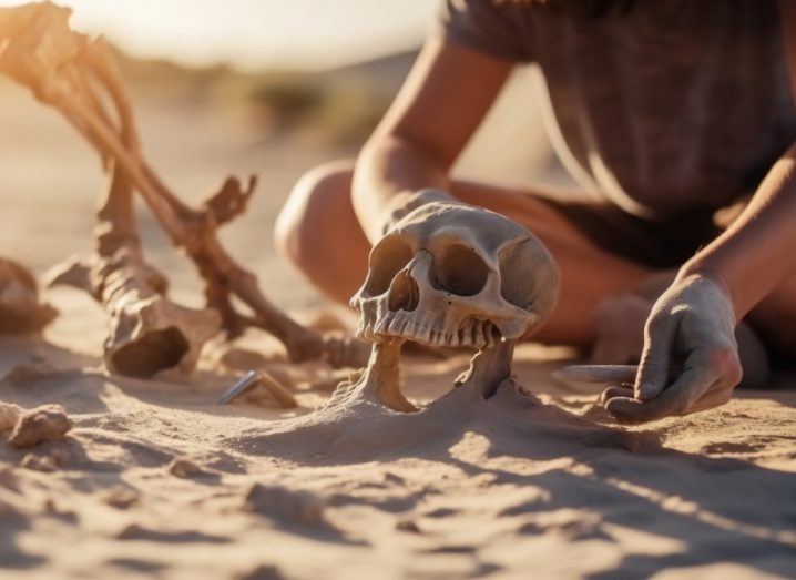 A human skull in sand being inspected by a person on a sunny day.