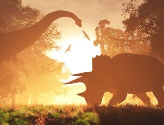 Did our mammal ancestors live alongside dinosaurs?