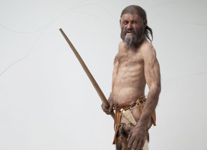 Reconstruction of Ötzi the iceman, a 5,300 year old body discovered in ice. he is standing with a spear. He has a bare chest and scraggly hair and wears animal skins as trousers.