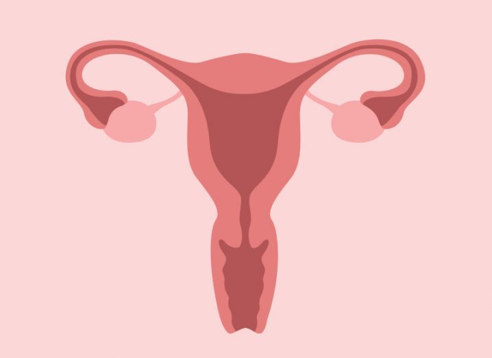 An illustration in shades of pink of a womb.