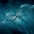 DeepMind AI predicts millions of harmful DNA mutations