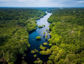 Ancient Amazonians may have sequestered carbon over centuries