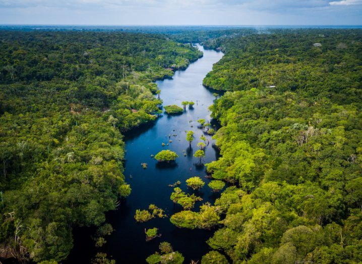 Photo of the Amazon river flowing through the rainforest in Brazil.