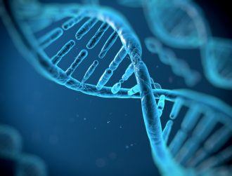 Major study uncovers DNA markers for epilepsy, could lead to new treatments