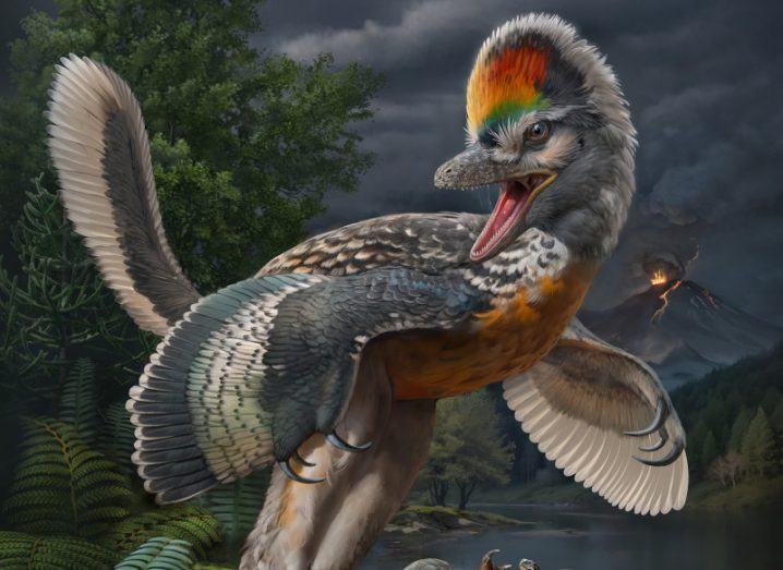 Reconstruction of the 150-million-year-old avialan theropod Fujianvenator prodigiosus. It has colourful feathers and long wings and claws.