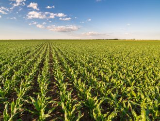 BioAtlantis joins €4.9m project to make drought-resistant crops