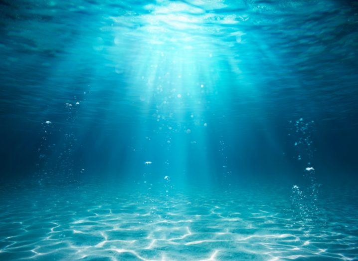 Image from under water, with rays of light coming down from the surface of the water.