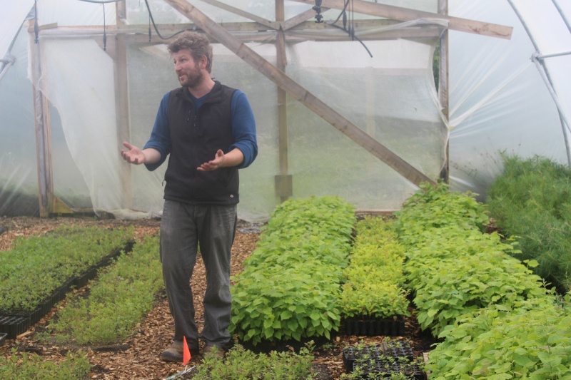 Jeremy Turkington stands in a green house surrounded by rows of small plants.