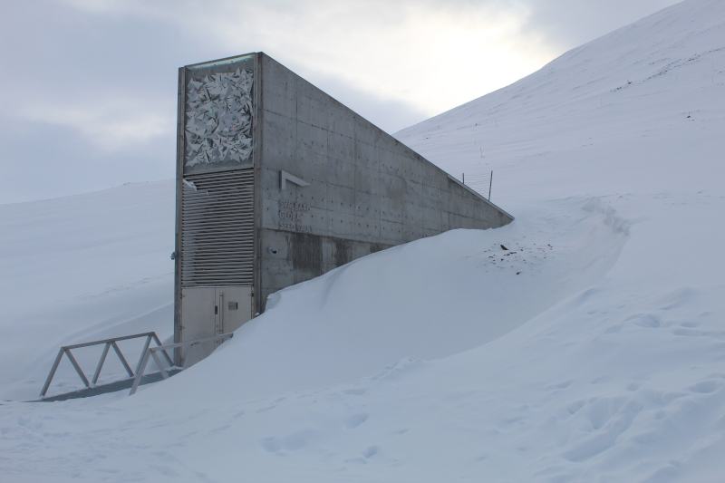 The Global Seed Vault is built into the permafrost on the side of a mountain covered in snow.