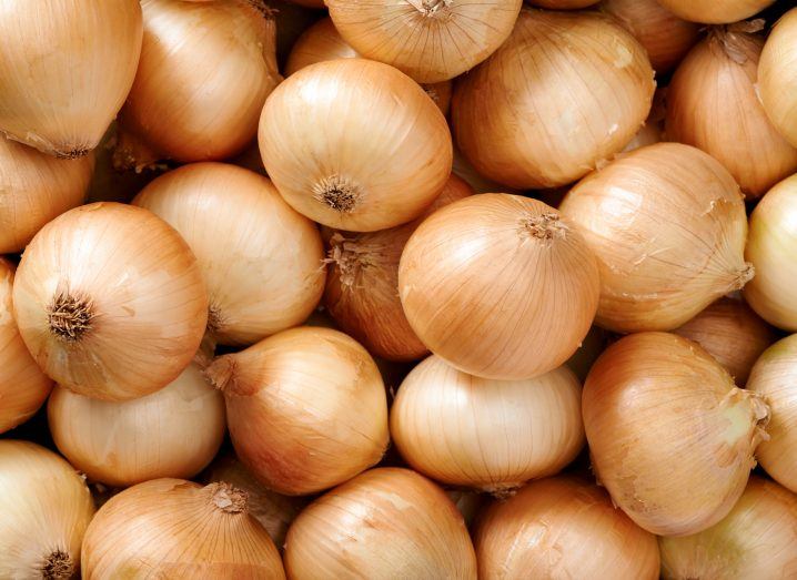 Image of many white onions placed next to each other.