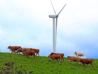 Galetech Group invests in Adamas Wind amid UK expansion