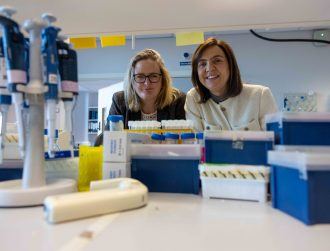 UCC-led team wins €5.3m award to investigate bloodstream infections
