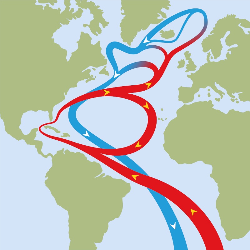 A simple illustration of the AMOC currents flowing through the Atlantic.