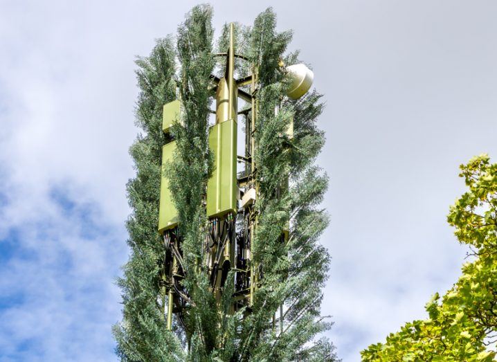 A telecoms pole with a tree growing around it. Used to show the concept of a green transition in the ICT sector.