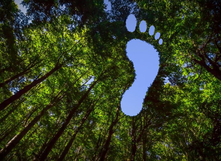 A canopy in the forest in the shape of a foot.