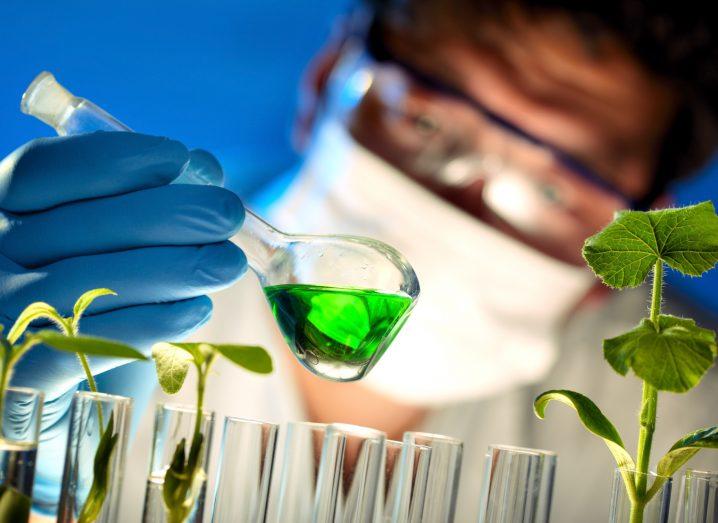 Scientist working in a lab with plants.