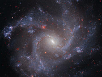 James Webb data suggests we have ‘misunderstood the universe’