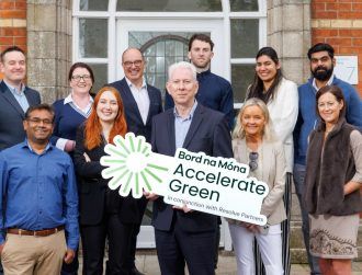 Nine Irish start-ups pass Bord na Móna’s 2024 green accelerator