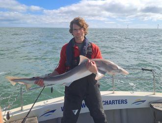 A man, a shark and a wind farm: What’s the catch?
