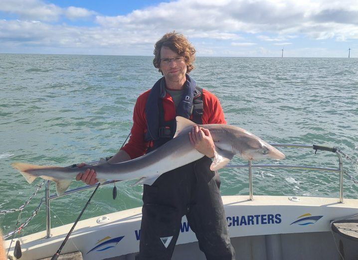 Dr Damien Haberlin holding a shark he has tagged on a boat with sea and a wind farm behind him on a bright day with some clouds and a blue sky.